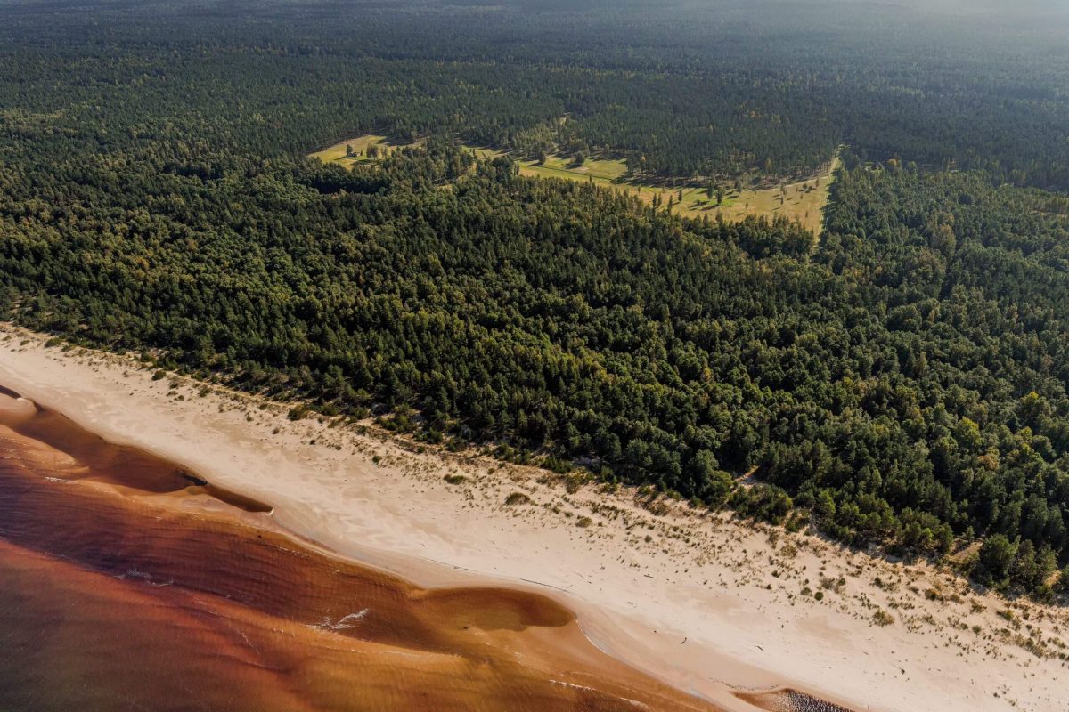 DJI_0700-min-1-scaled