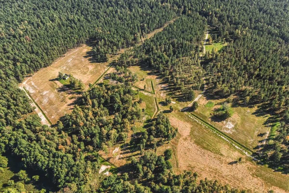 DJI_0712-1-min-scaled